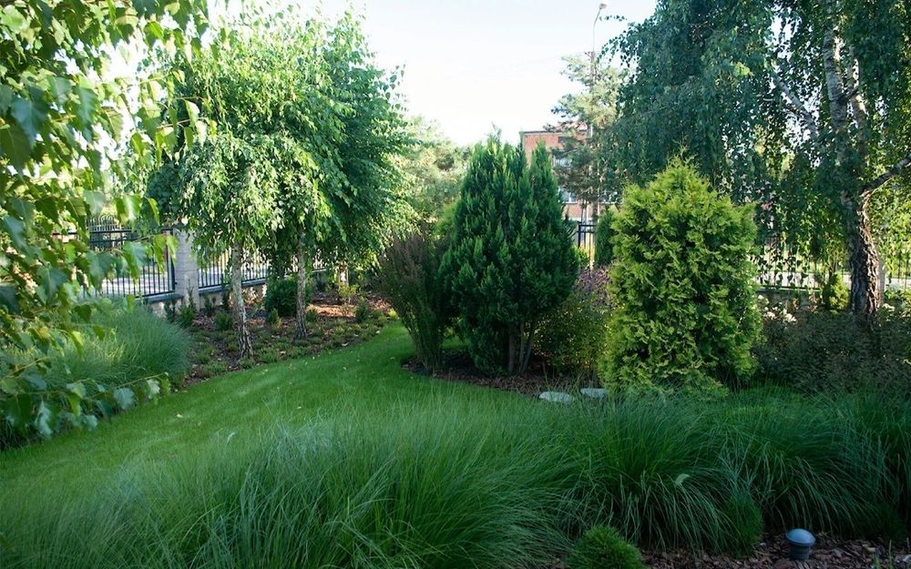 Areacja rurkowa z piaskowaniem Nawodnienie  Trawnik bez mchu Ogród