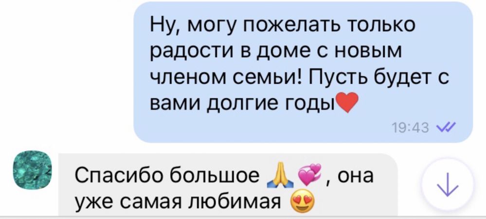 Милая девочка  той пуделя