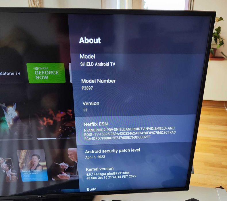 Nvidia Shield TV (P2897)