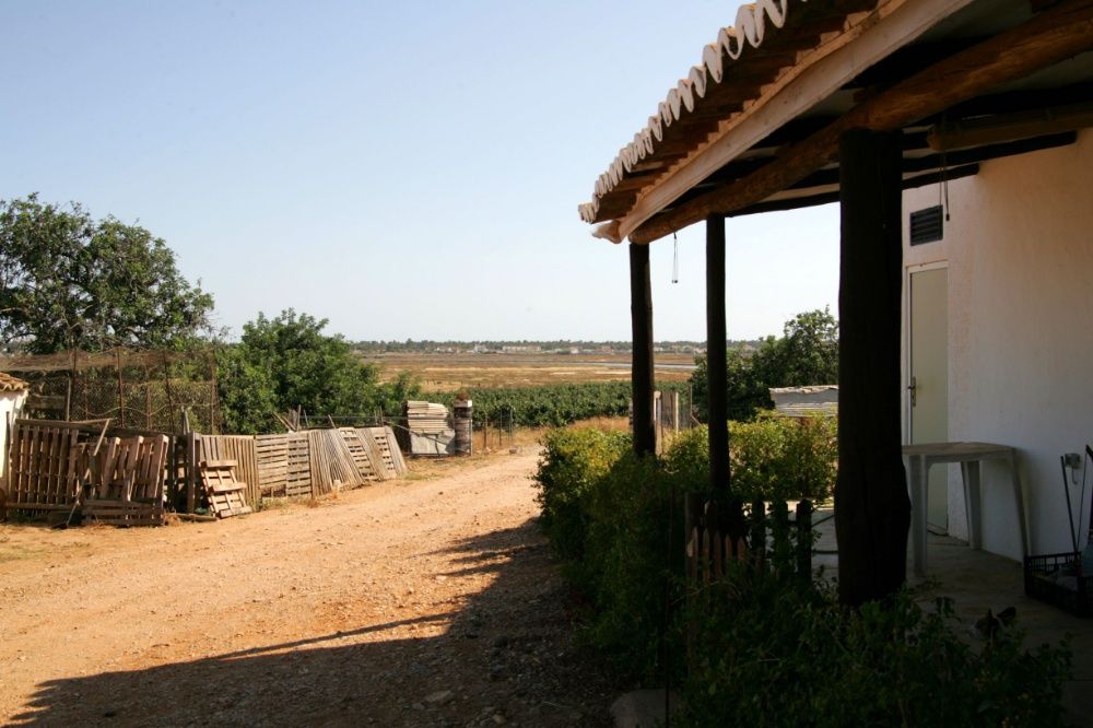 Tranquila Herdade/Quinta Torre do Sobral