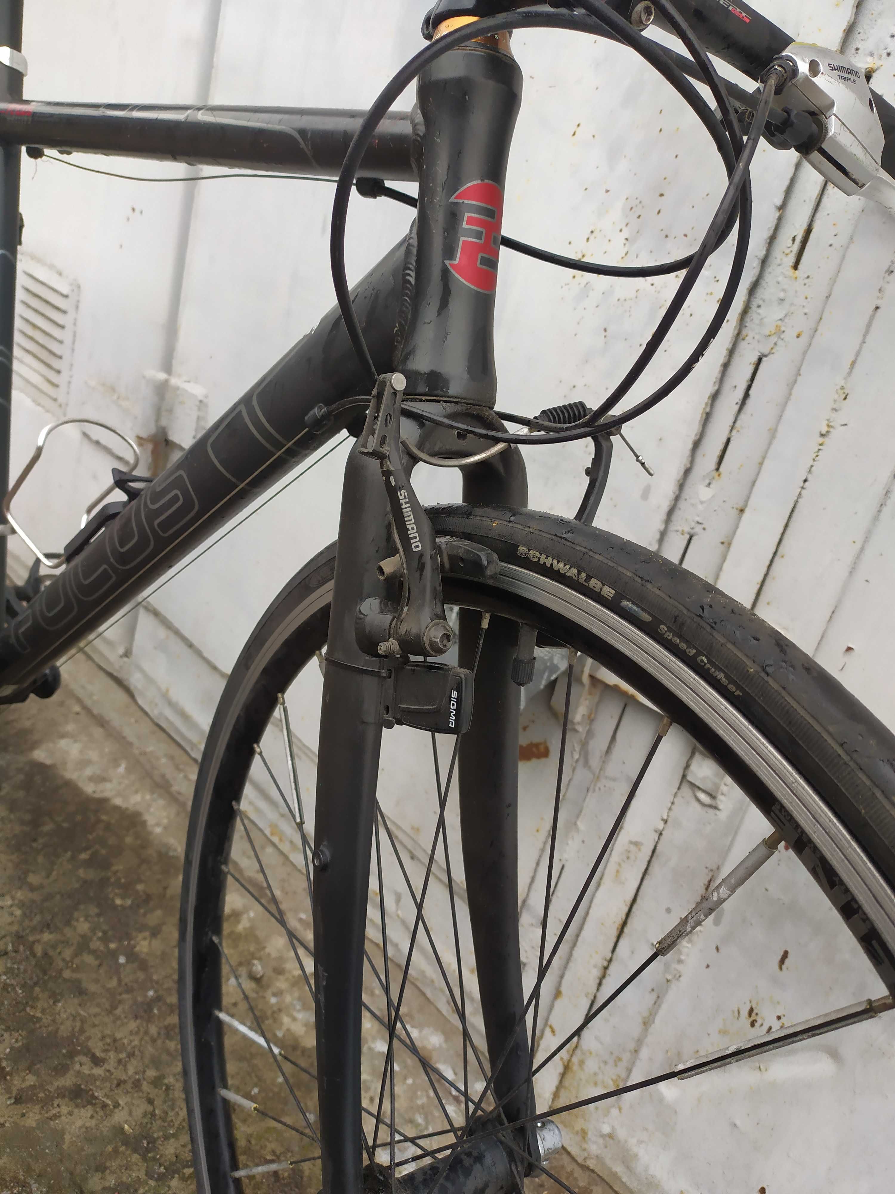 Велосипед Focus Arriba 28"  (Shimano Tiagra 3 х 8)