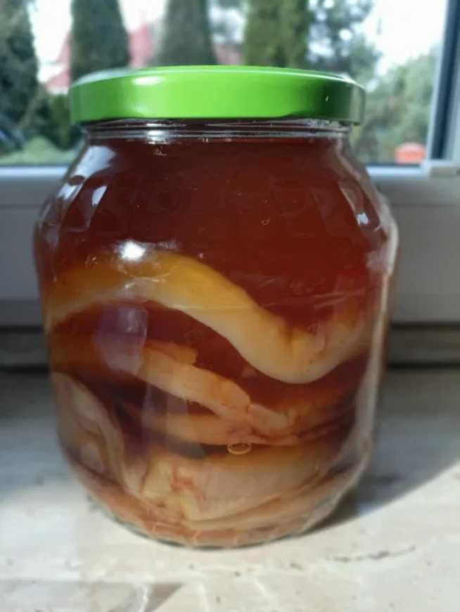 Grzybek herbaciany octowy scoby kombucha ze starterem