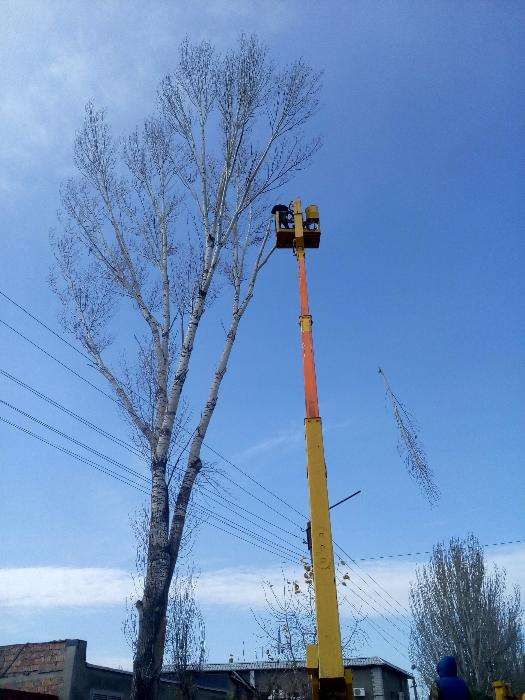 100% аккуратно спилить дерево любой величины