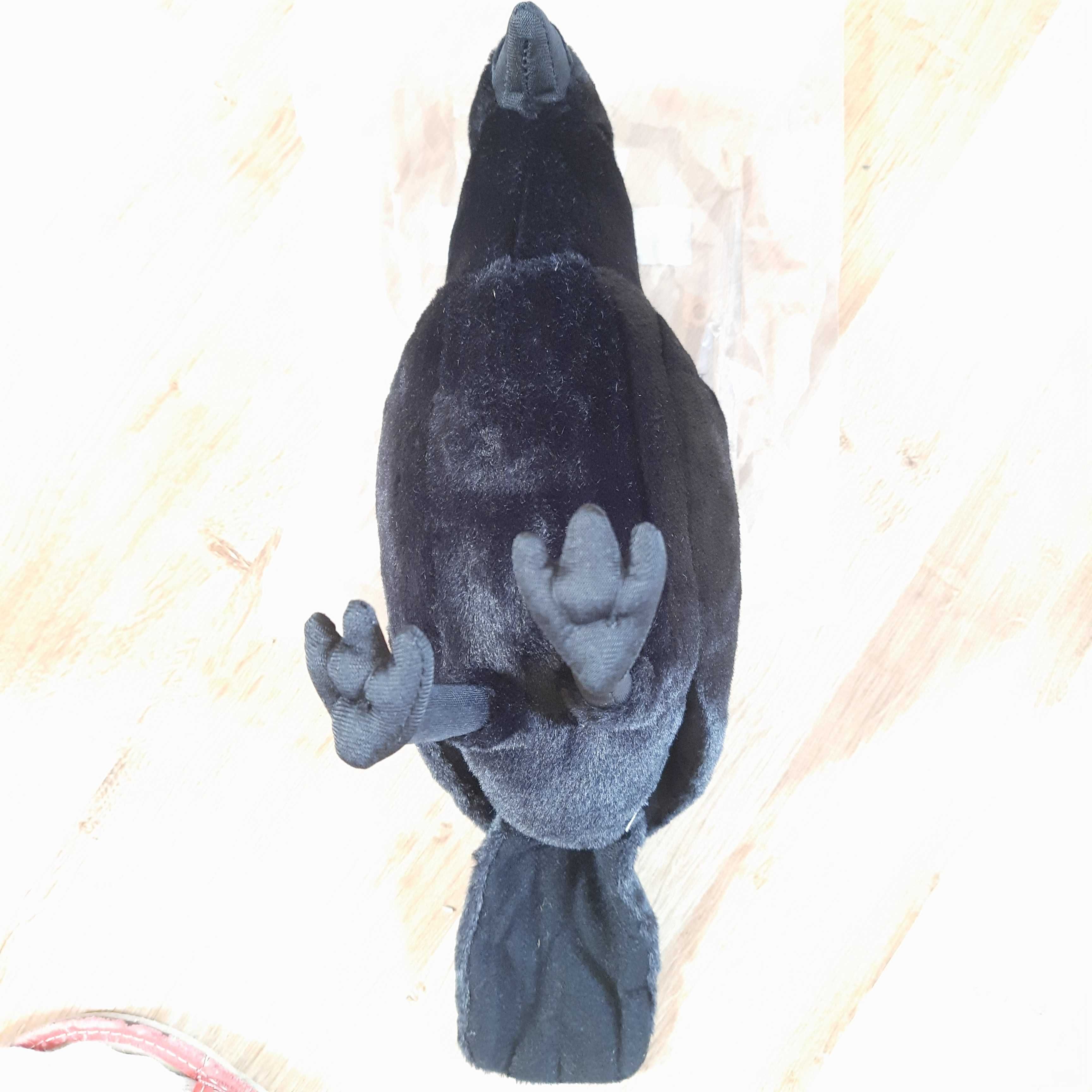 Kruk maskotka czarny ptak Realistyczny 30 cm Wrona WIN08