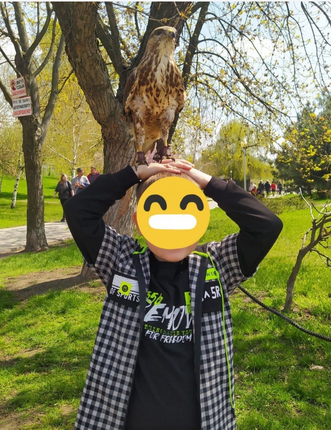 Модная рубашка в клетку