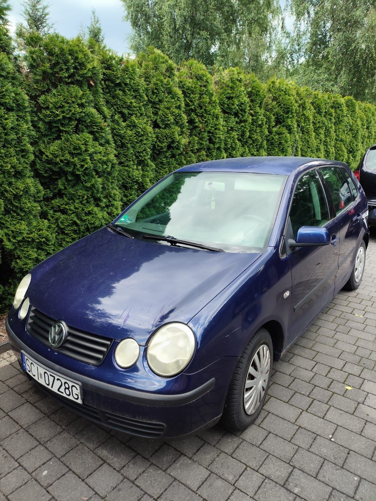 Volkswagen Polo 1.2 benzyna