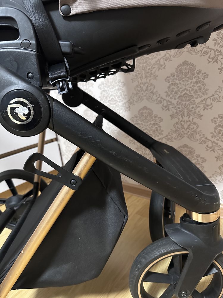Roan Ivi 2023 Gold Rose