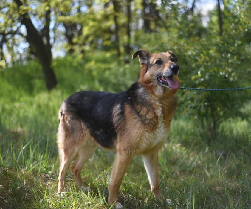 Sylwek czeka na wystrzałowego opiekuna