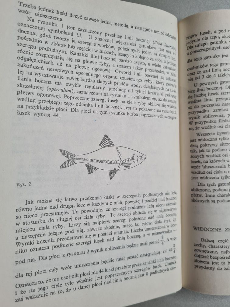 Ryby wód polskich - Andrzej Rudnicki. Atlas