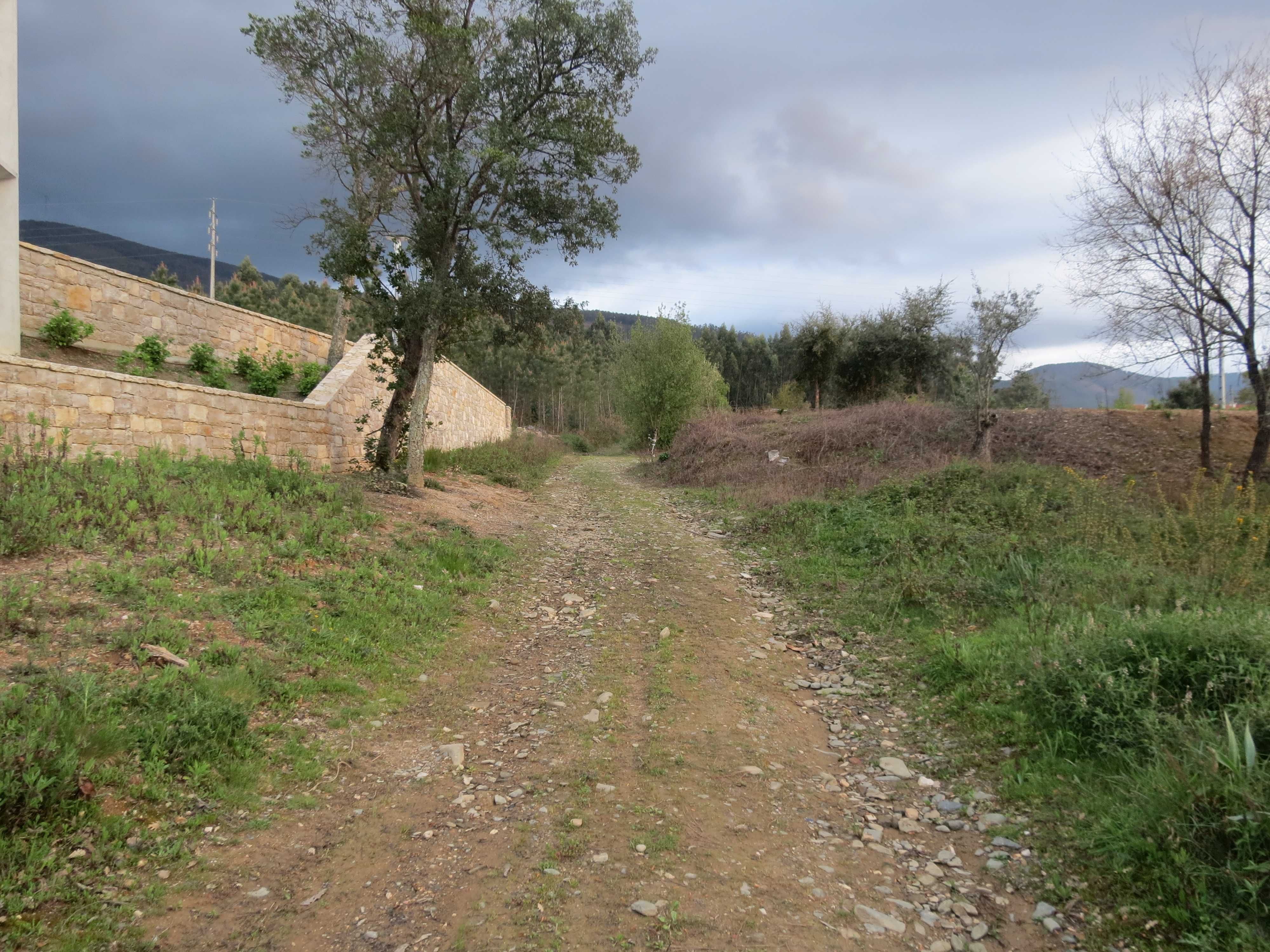 Terreno rústico 2.300 M2 Lousã