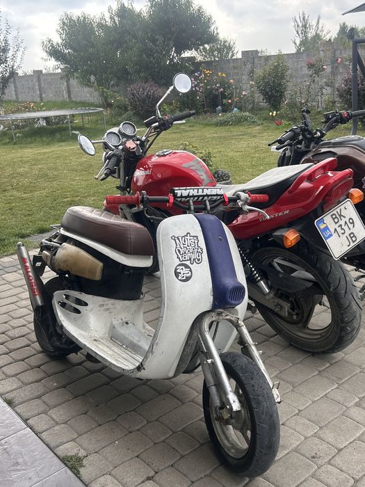 Honda giorno af24.