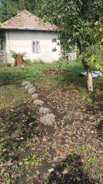 Продається будинок + ділянка.