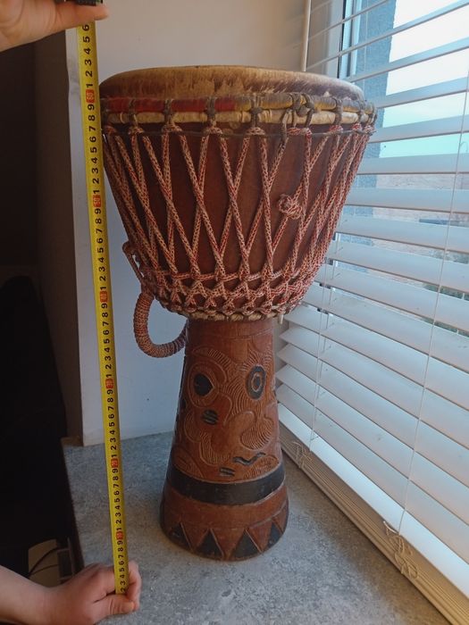 Bongos  djamba,  przywieziony z Tunezji