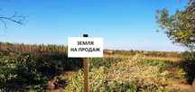 Земельна ділянка в с.Старий Лисець