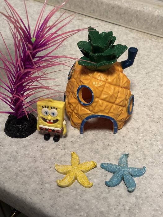 Будинок Спанч Боба, Губка Боб