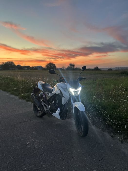 Geon pantera 250