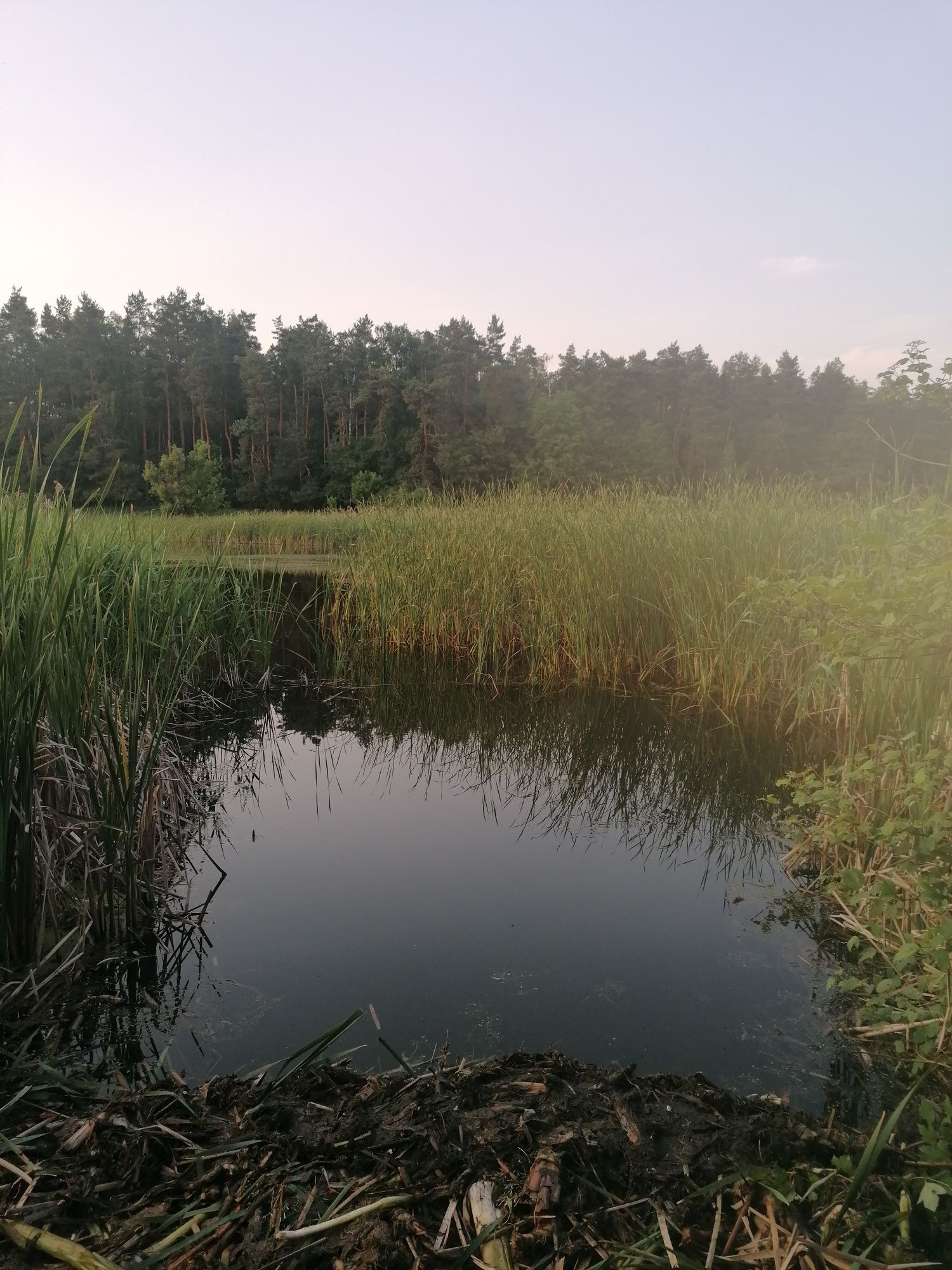 Продам дом в селе Ясногородка (Фастовський район)