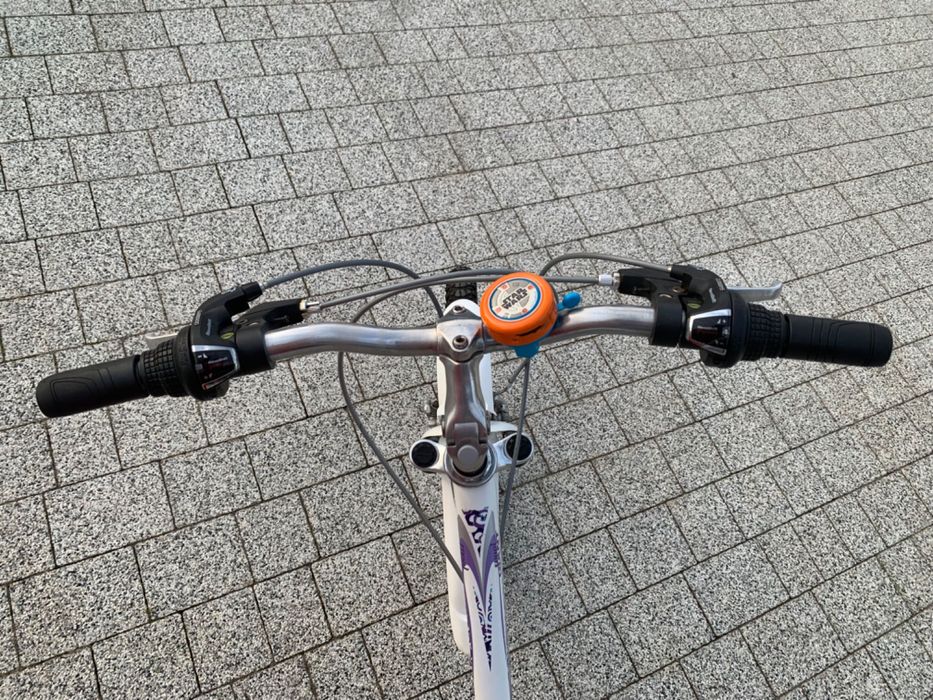 Rower dziecięcy Giant 24’’