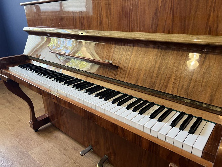 Фортепиано Легница Leggnica пианино