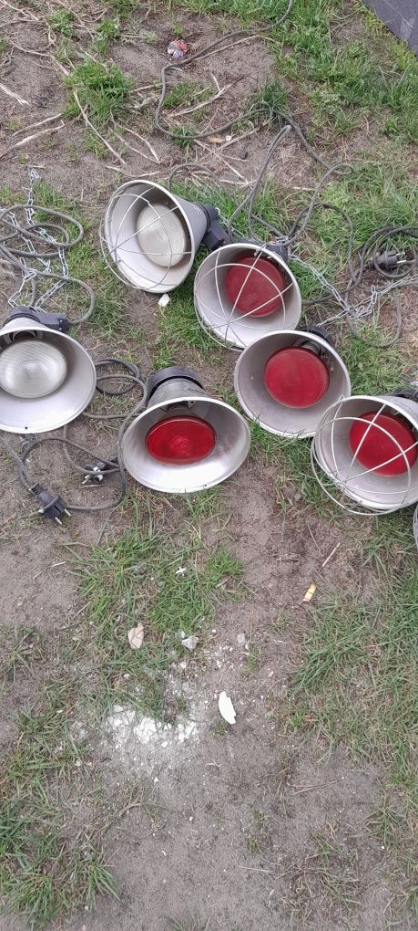 Lampy dla zwierząt promieńik ciepła