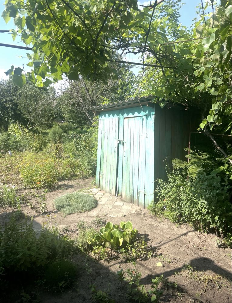 Дача район Старого села