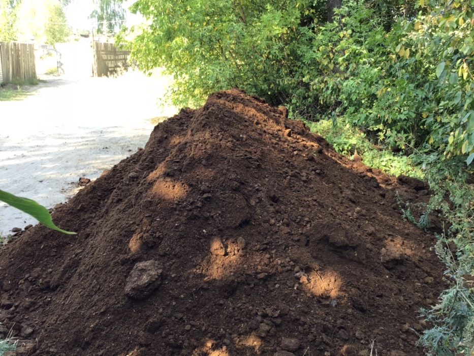 Перегній кінський