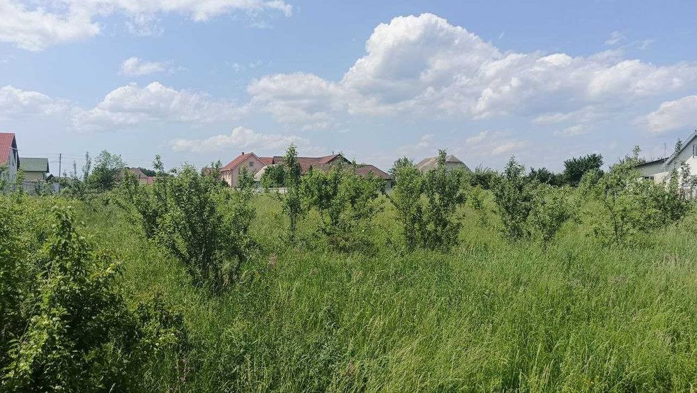 Продаж земельної ділянки в с. Березівка, Івано-Франківський район