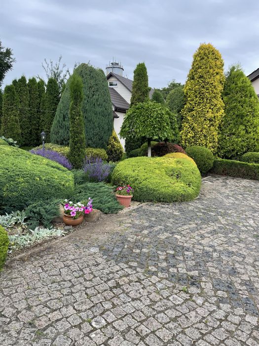 Послуги садівника, озелененя, консервація рослин та поливу на зиму.