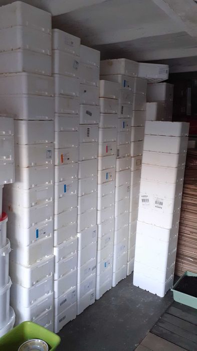 Boks styropianowy dla osób kupujących u mnie żywe stworzenia.