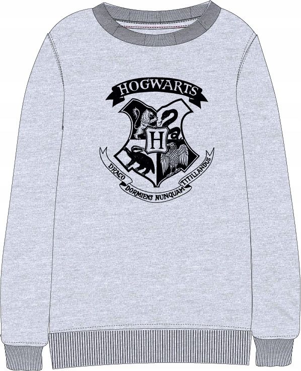 Bluza Chłopięca Harry Potter 158/164 Hogwarts Hary