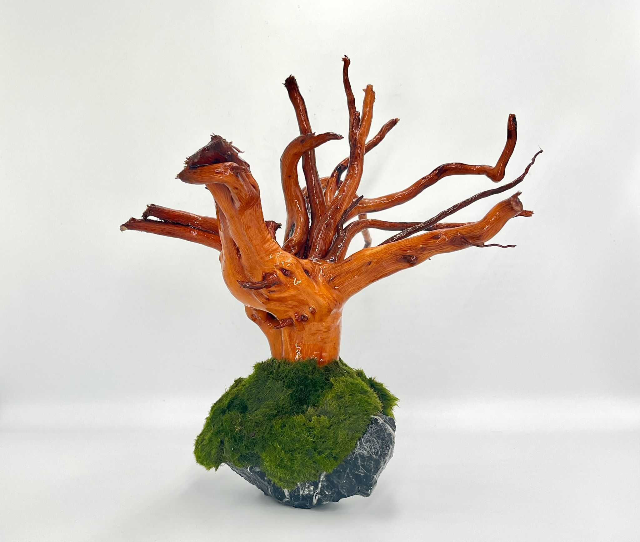 Piękna Aranżacja Do Akwarium Drzewko Bonsai