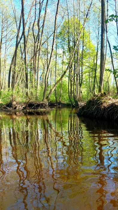 Сплави та походи на байдарках, пакрафтах,