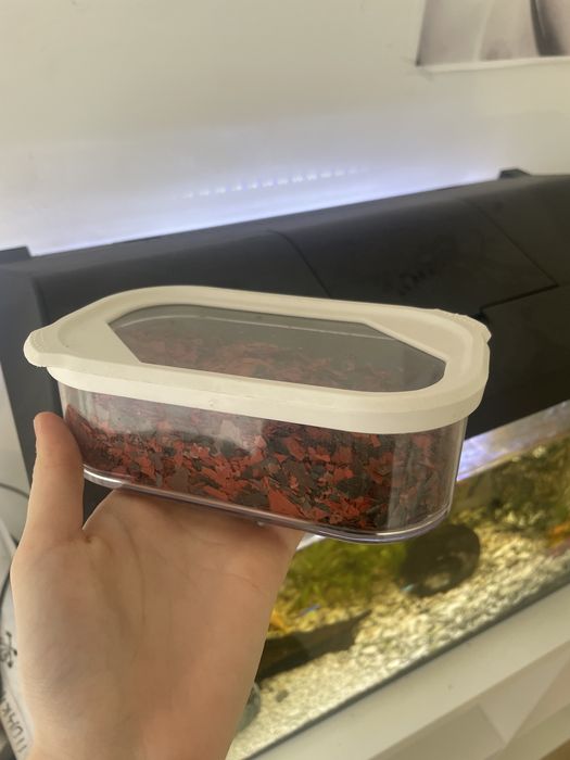 Ryby, Akwarium, Sprzęt, Sprzedam!