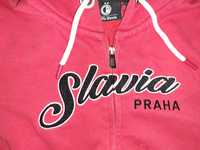 Slavia Praha Praga Zagłębie