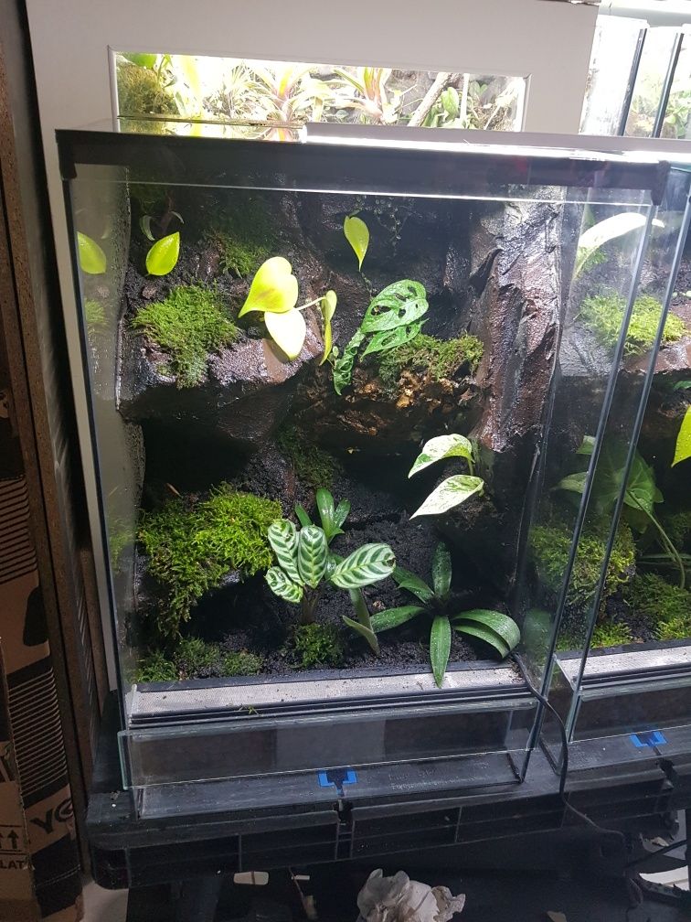 Terrarium tropikalne aktywne biologiczne z wodospadem