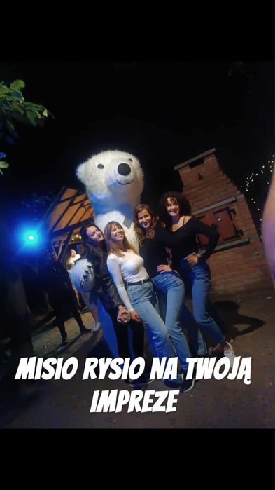 Misio XXL 2,5 metra Misio Rysio wynajem na twoją imprezę