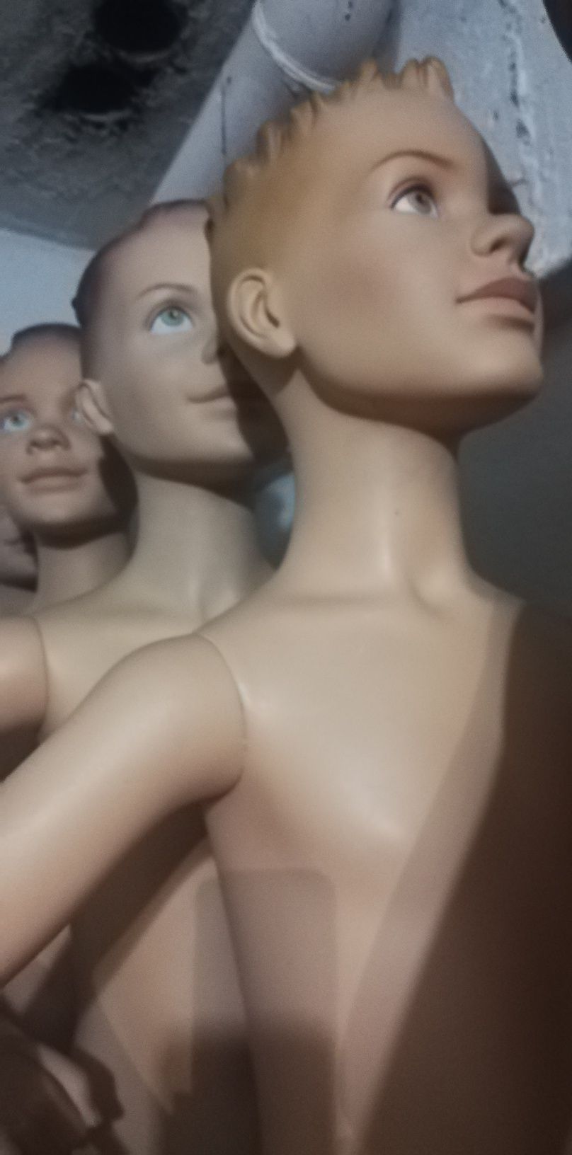 Manequins/bustos /torsos