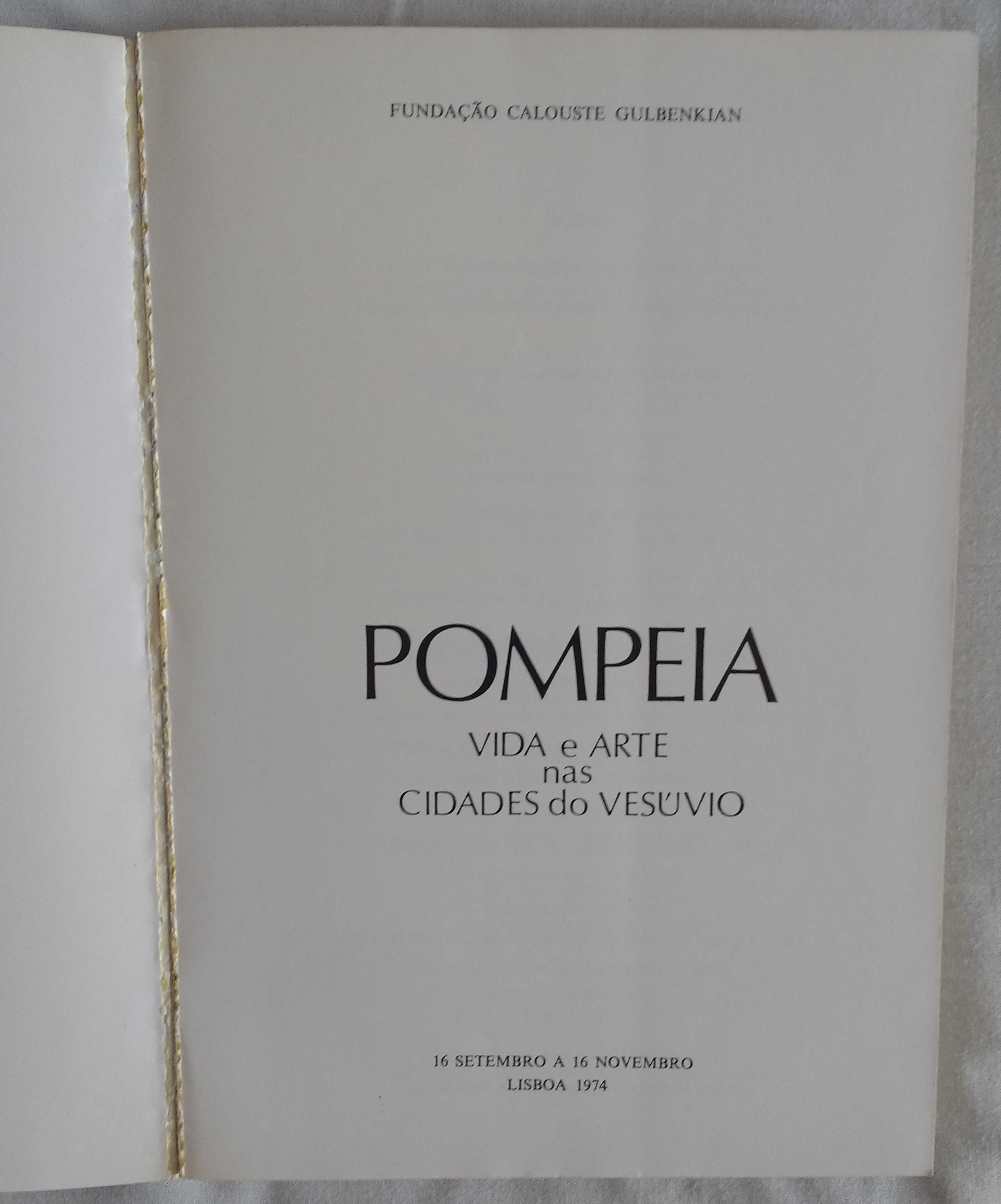 Livro "Pompeia – Vida e Arte nas cidades do Vesúvio"