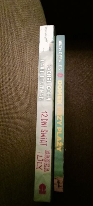 Pakiet dwóch książek. 12 dni świąt Dasha i Lily, Domek przy plaży.