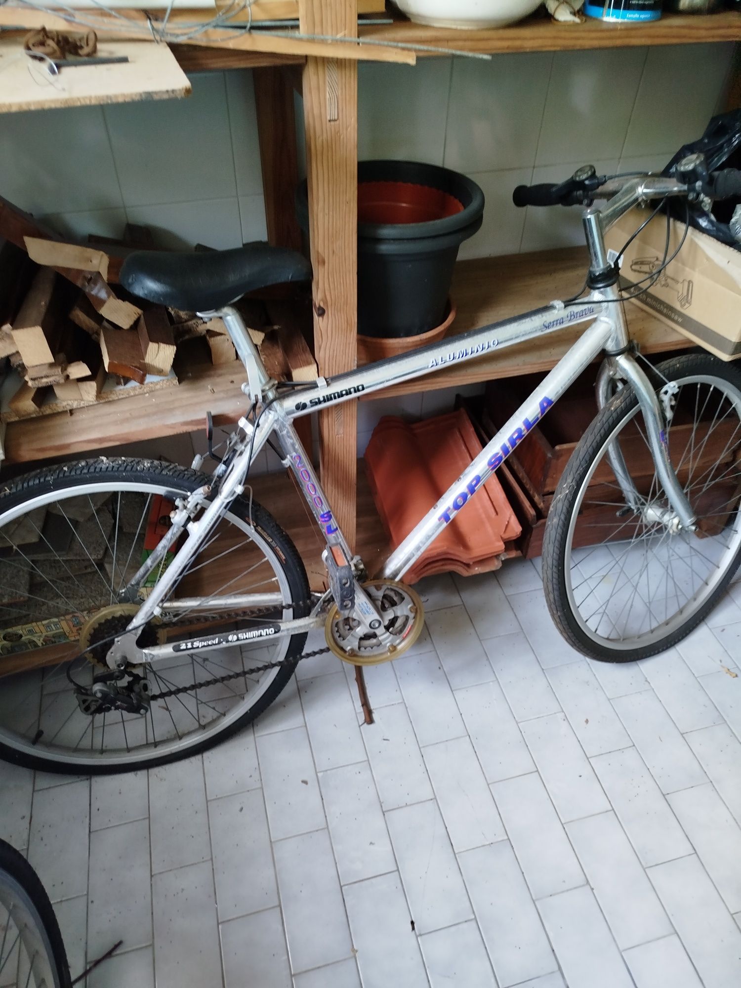 Bicicleta de montanha