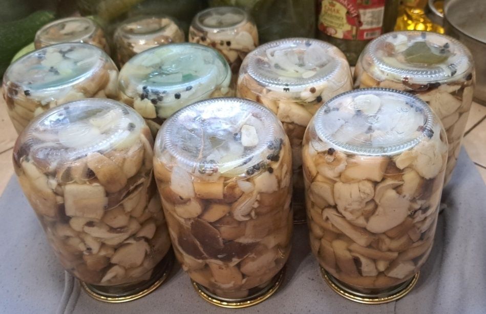 Білі гриби мариновані