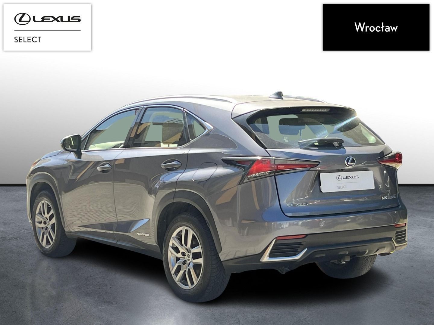 Lexus NX 300h Business Edition | 1wł. | Serwis ASO | FV23%