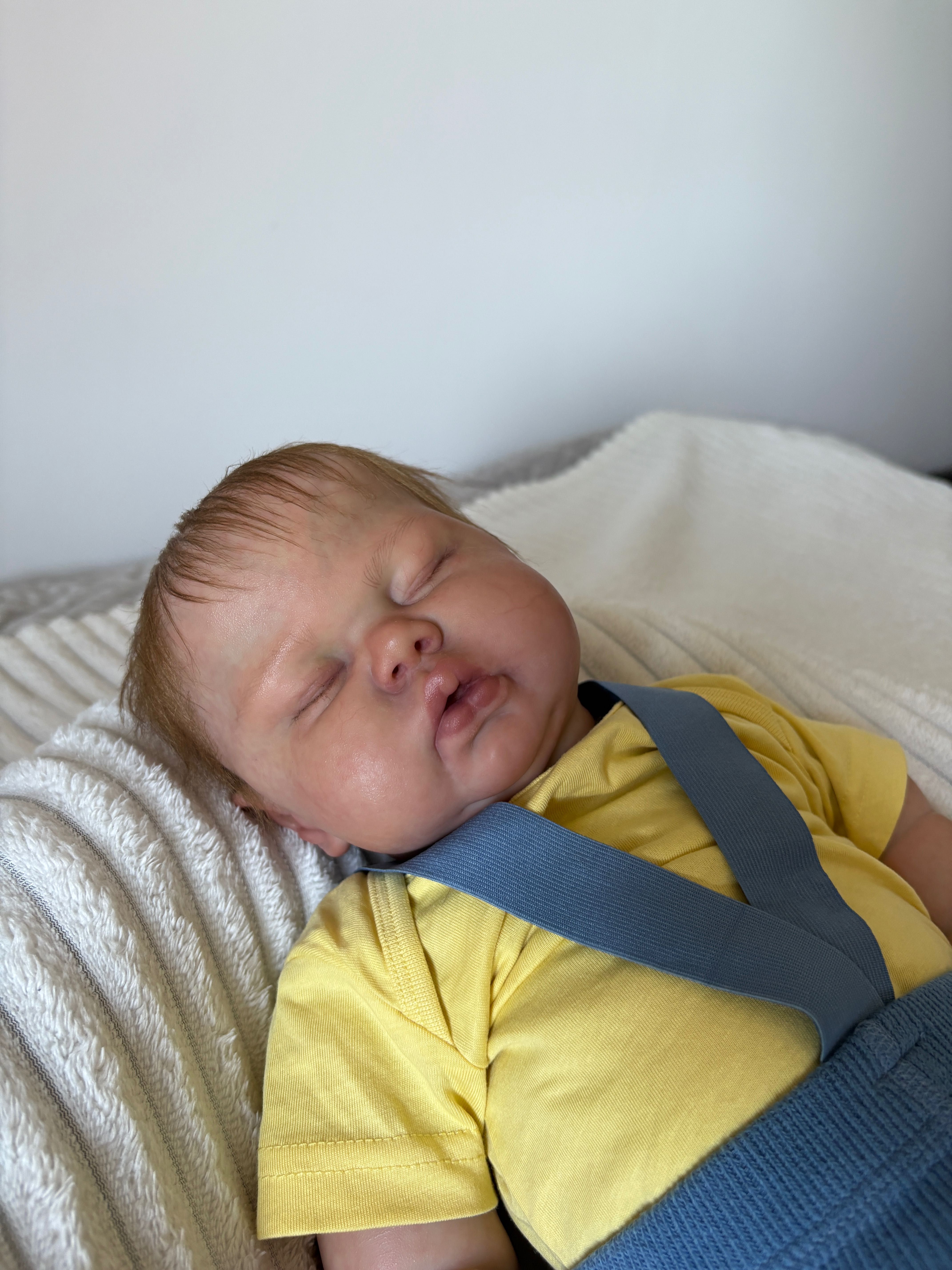 LALKA REBORN pickle by nikkie johnson