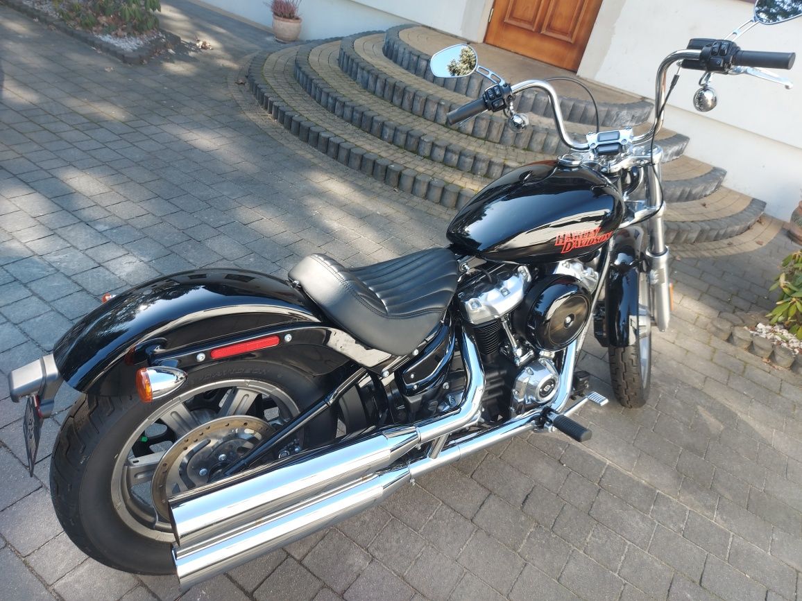 Harley Davidson Softail Standard 2024 rok Zamiana na kamper k