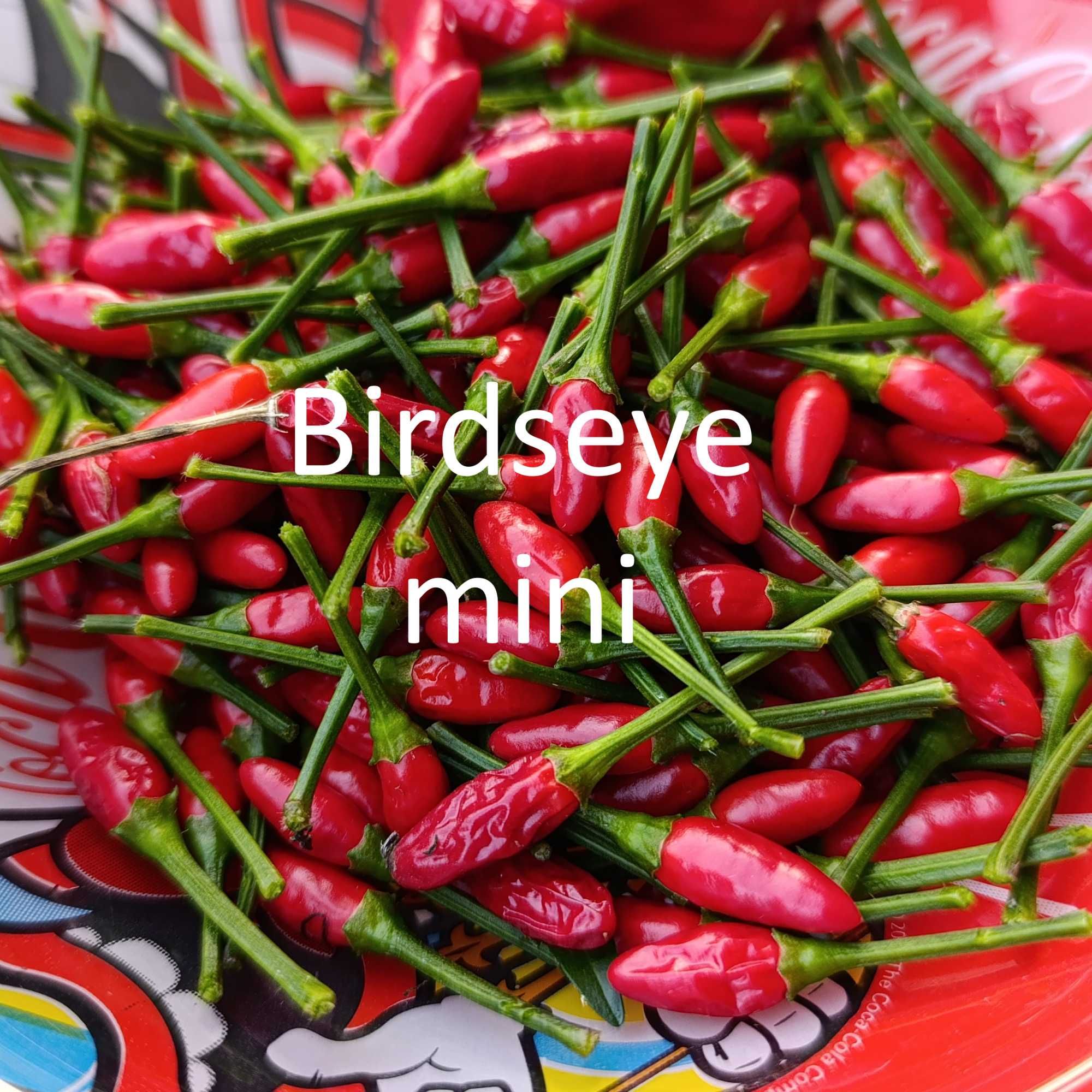Sementes Pimentas