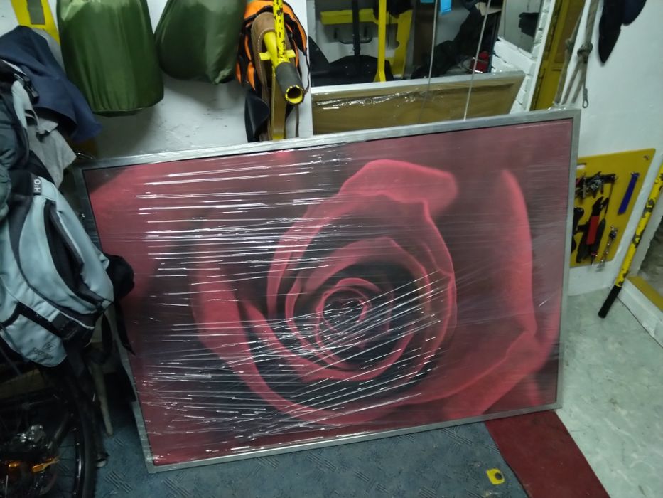 Duży obraz Róża 140x100
