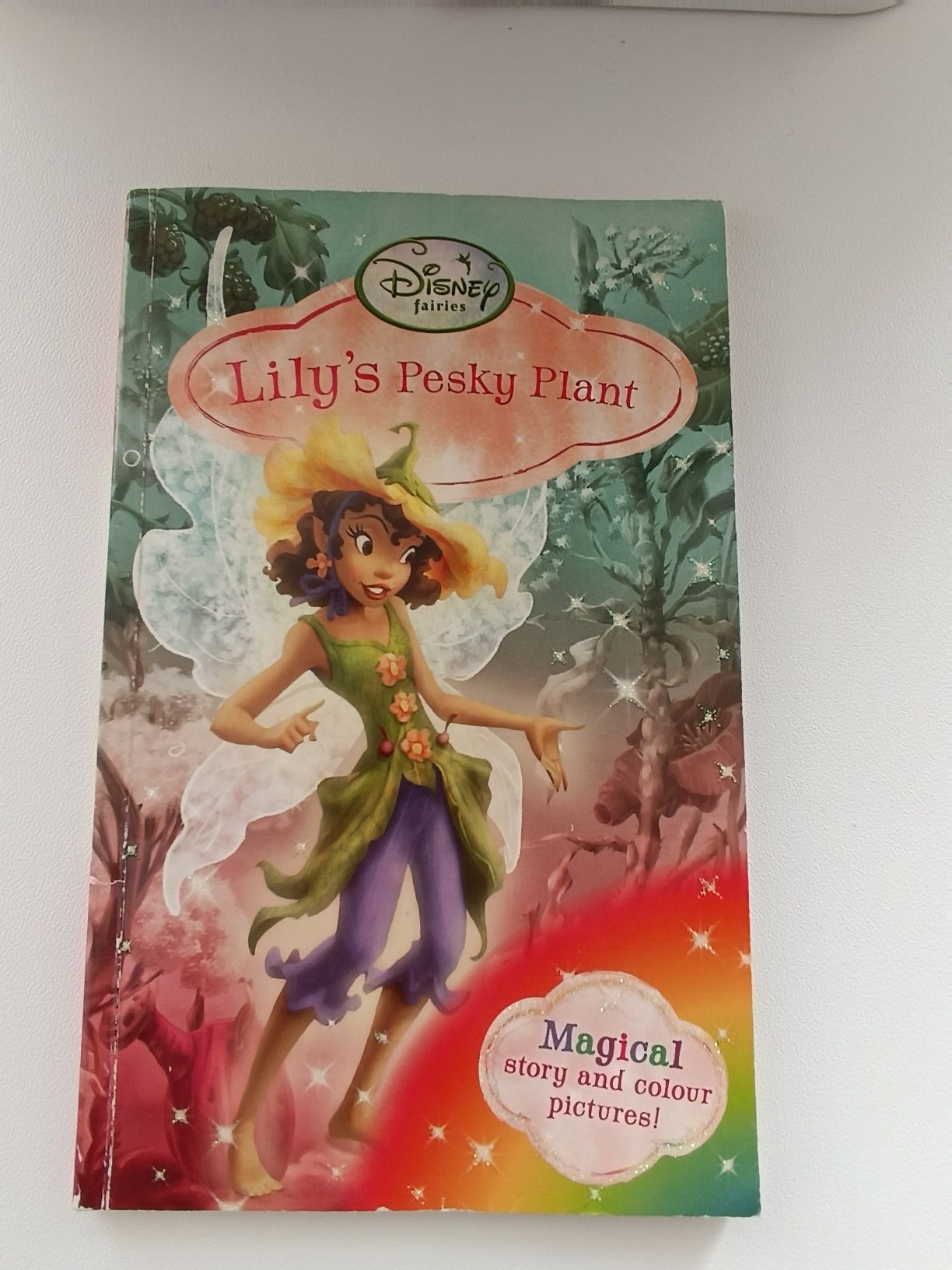 Книга детская на английском языке про фей