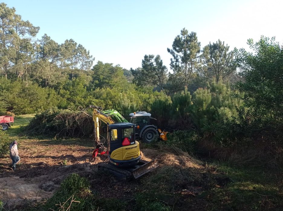 Limpezas agrícolas e florestais