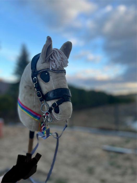 Piękny hobby horse