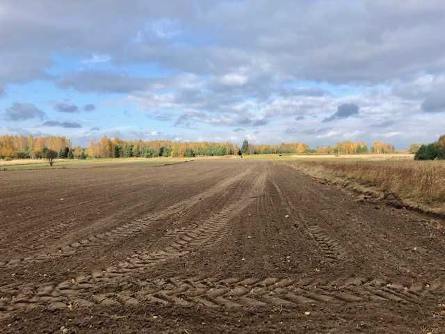 Działka rolna 1.12 ha, obręb Zarzęcin, Zalew Sulejowski Gmina Mniszków